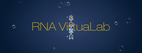 RNA virtualab